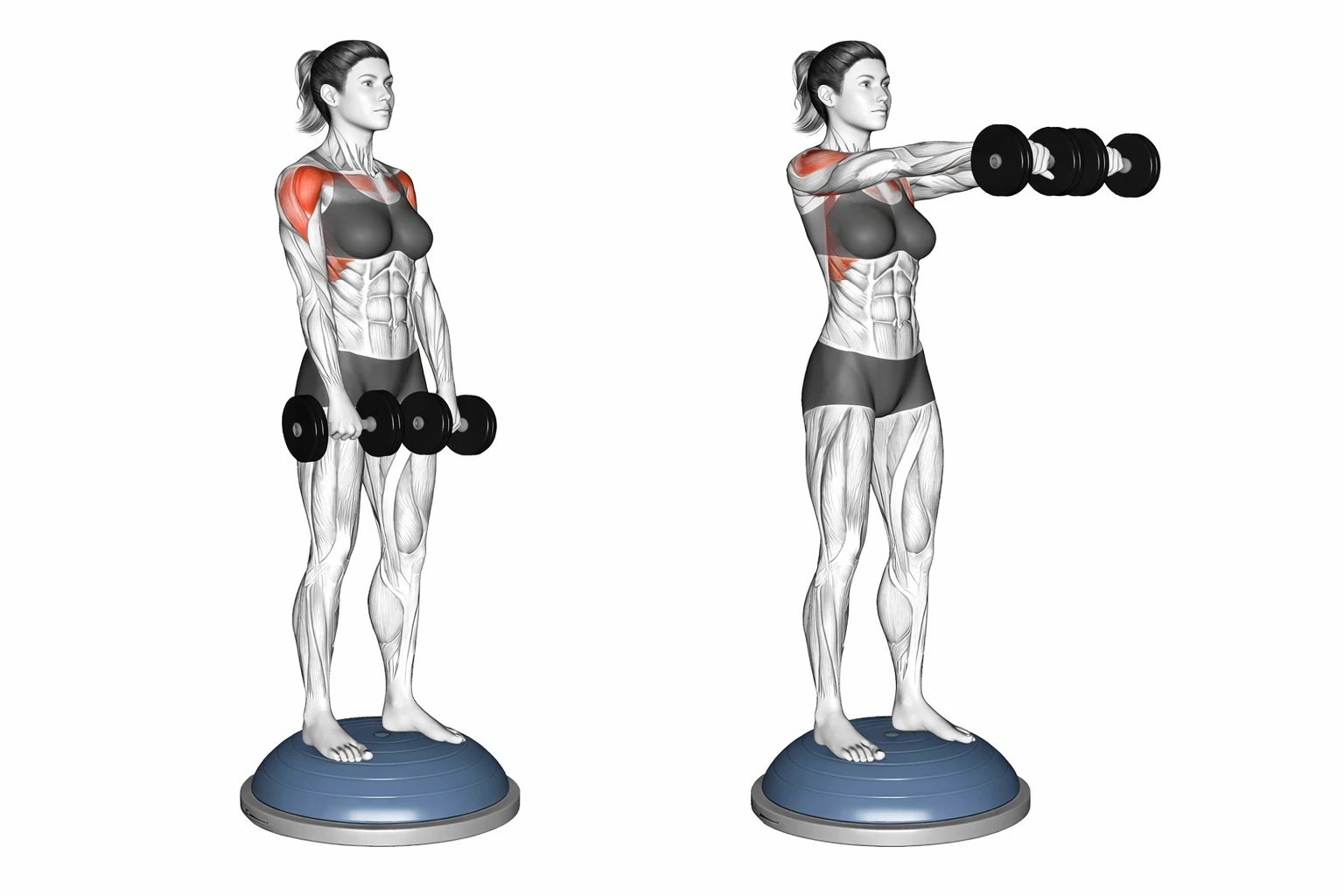 Unstable Dumbbell Front Raises
