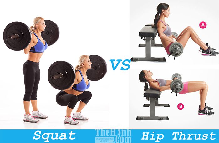 Squat vs Hip Thrust - Cách tăng vòng 3 tự nhiên nào nhanh nhất