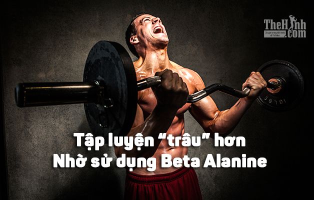 Beta Alanine là gì ? Cách tập gym xung hơn, tăng sức chịu đựng hơn