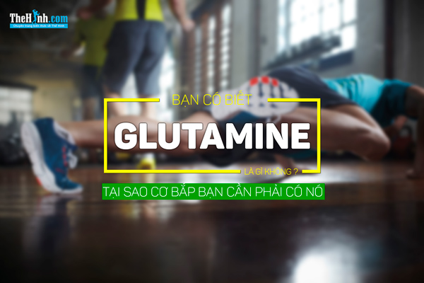 Glutamine là gì ? Cách sử dụng Glutamine như thế nào cho chuẩn ?