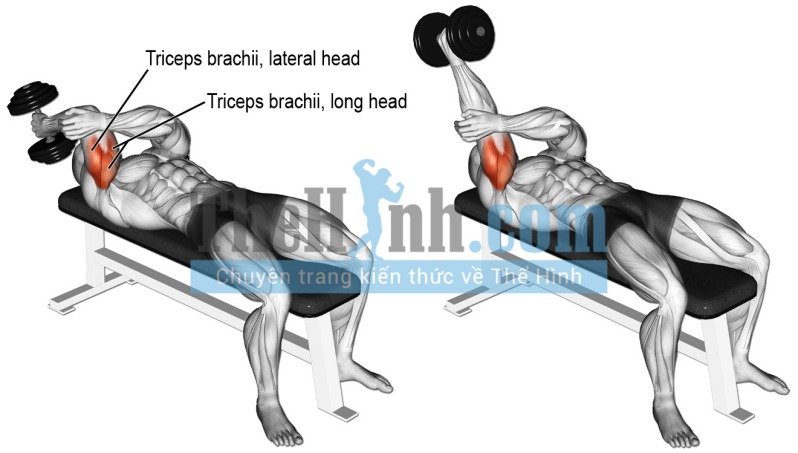 Lying one arm dumbbell triceps extension