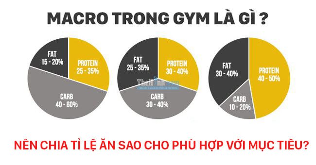 Macro trong gym là gì