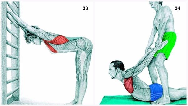 Giãn cơ bắp với 34 tư thế chuẩn dành cho người tập GYM bạn cần biết
