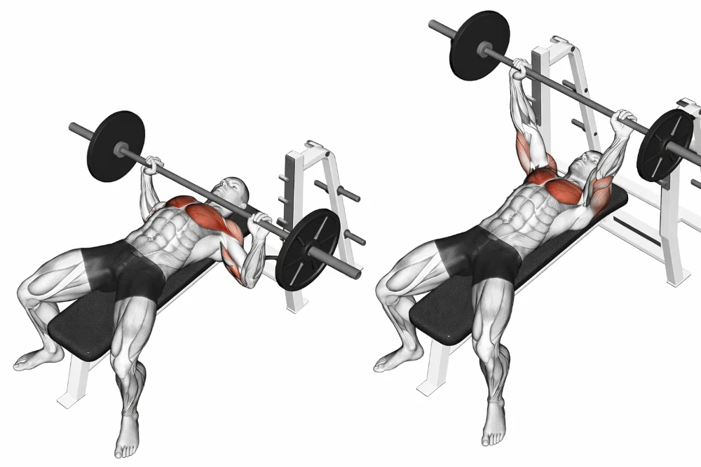 Barbell Bench Press