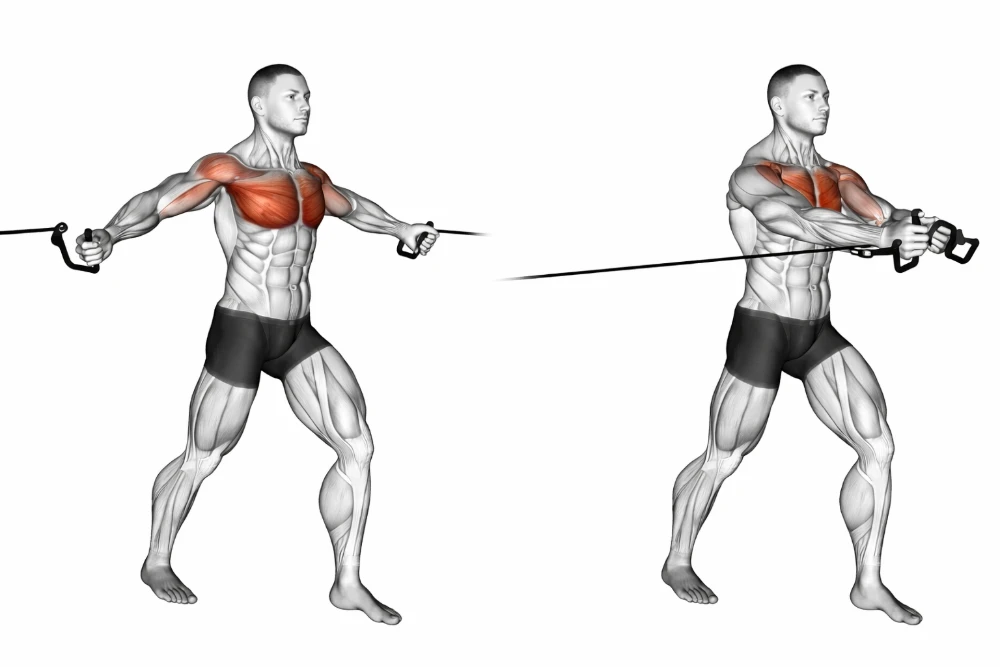 Cable Chest Fly