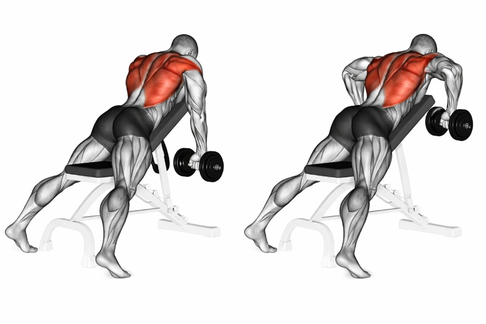 Chest-Supported Row