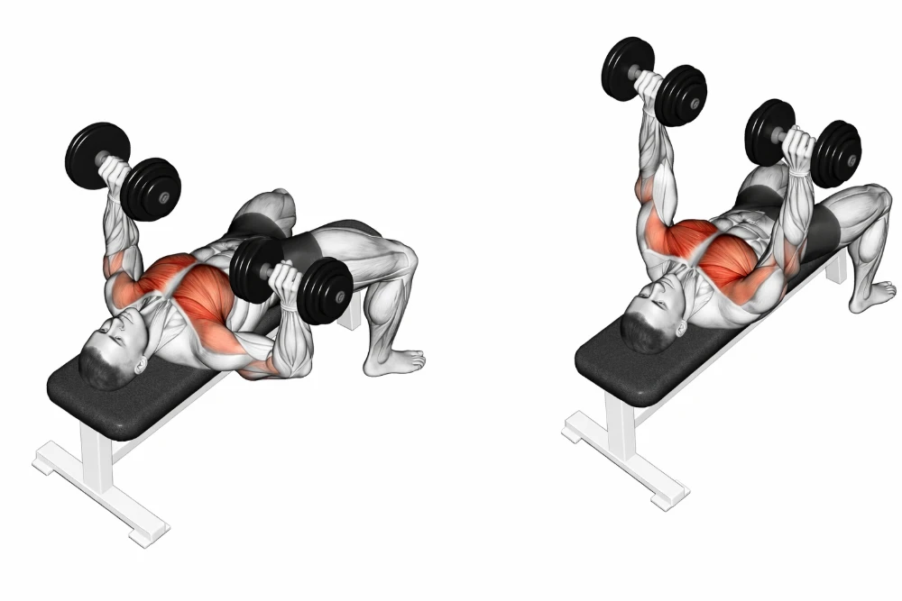 Dumbbell Bench Press