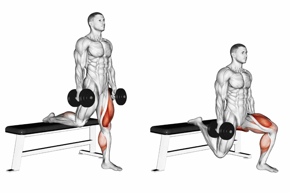 Dumbbell Bulgarian Split Squat