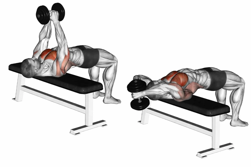 Dumbbell Pull-Over