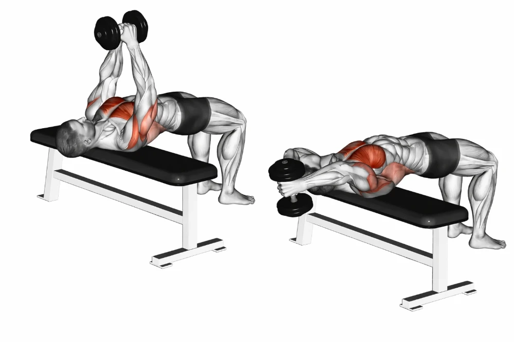 Dumbbell Pull-Over