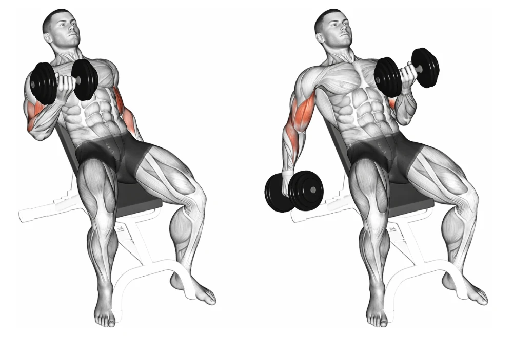 Incline Curl