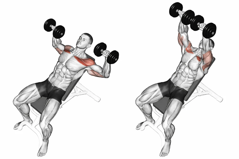 Incline dumbbell bench press
