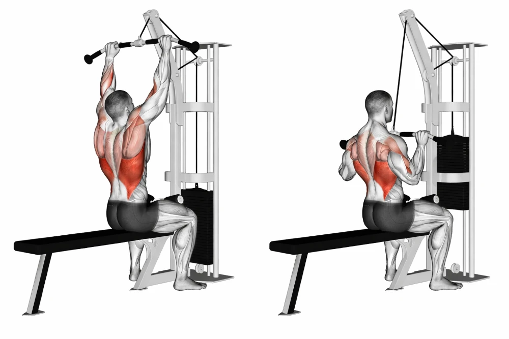 Lat Pull-Down