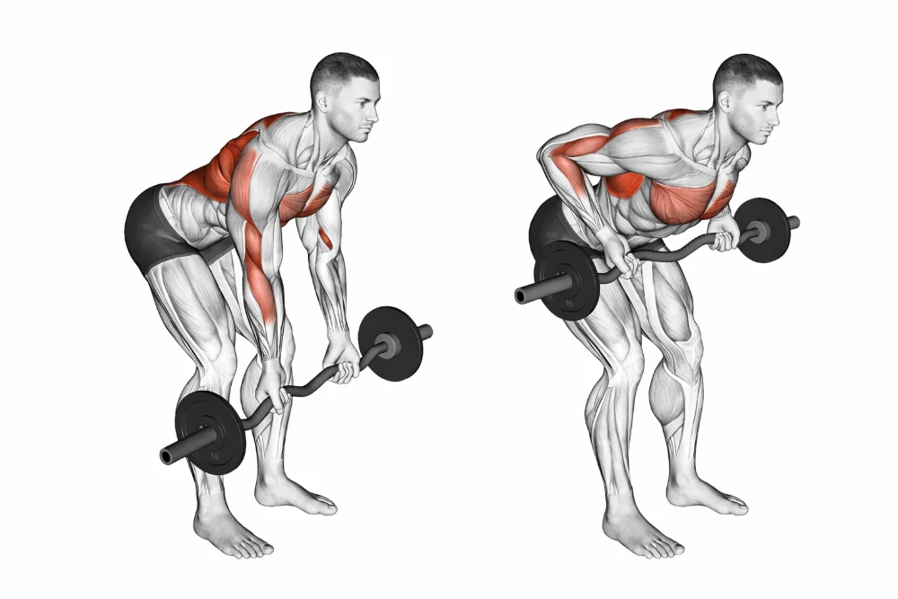 Reverse-grip bent-over row