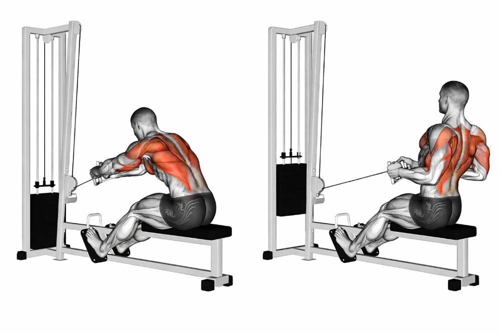 Seated Cable Row