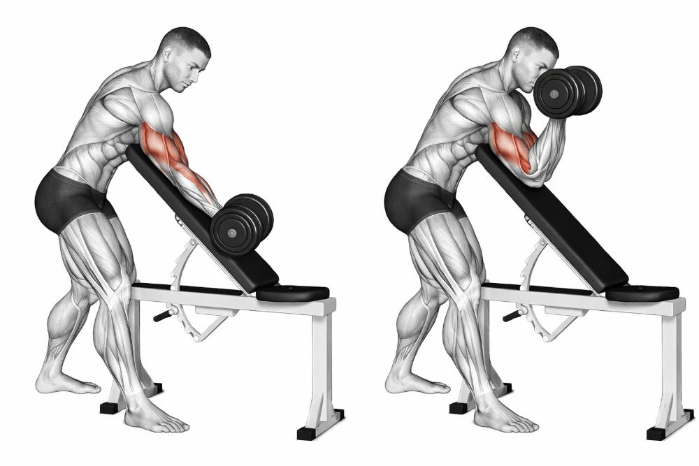 Single-arm dumbbell preacher curl