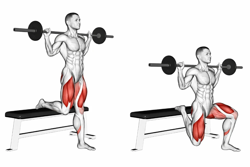 Split Squat