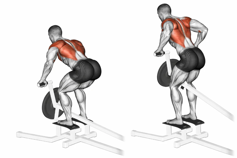 T-bar Row