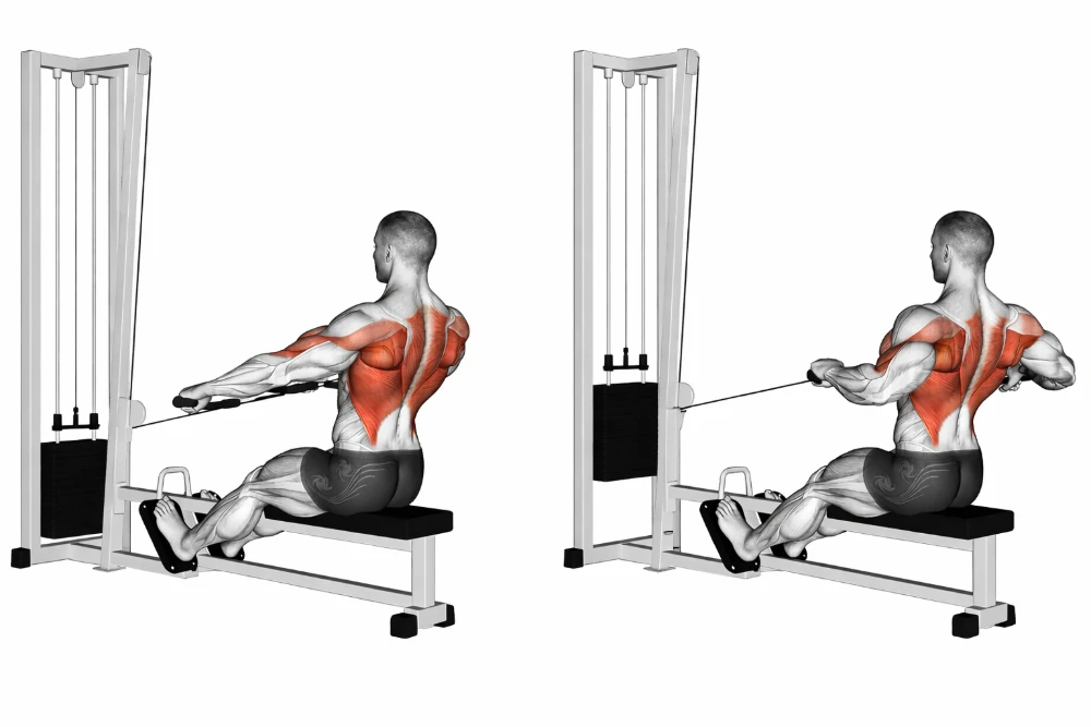 Wide-Grip Seated Cable Row