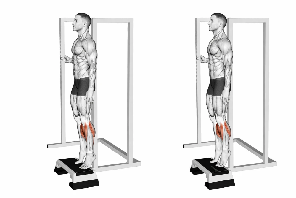 bodyweight calf raise