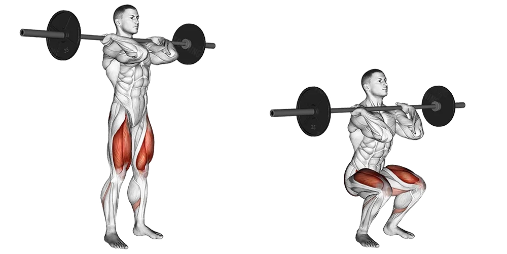 Barbell Front Squat