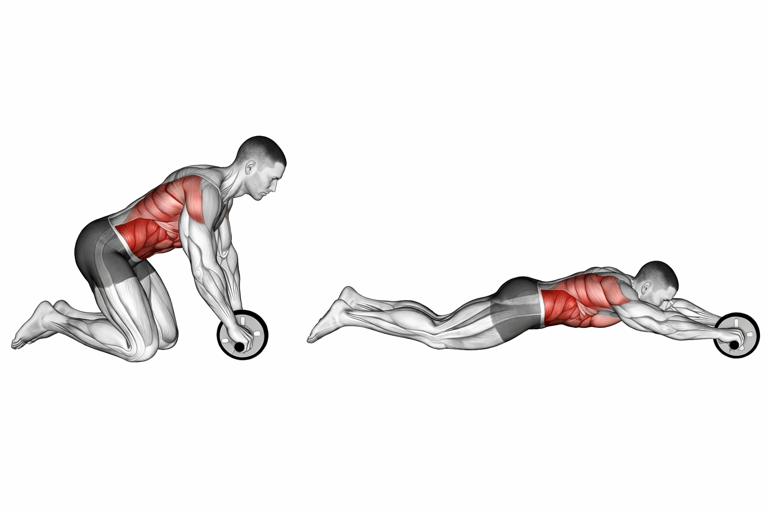 Ab Roll-Out