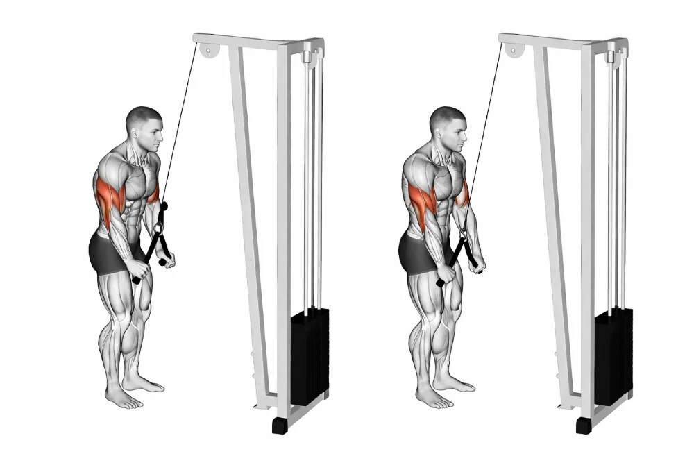 Cable Push Down