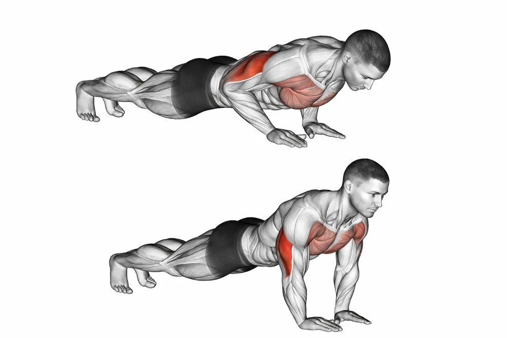 Close-Grip Push-Up