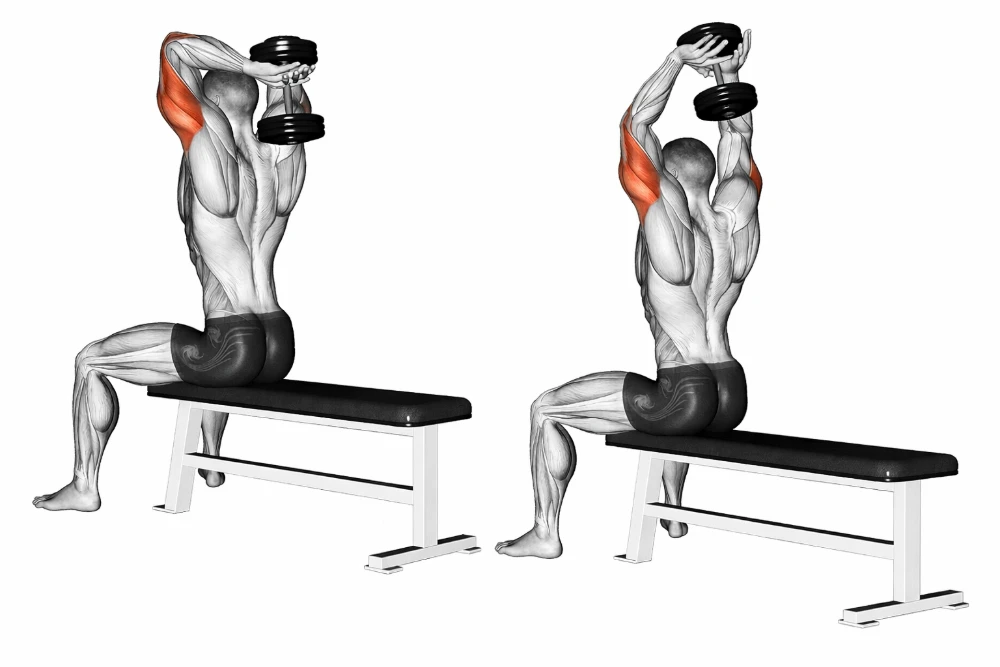 Dumbbell Overhead Triceps Extension