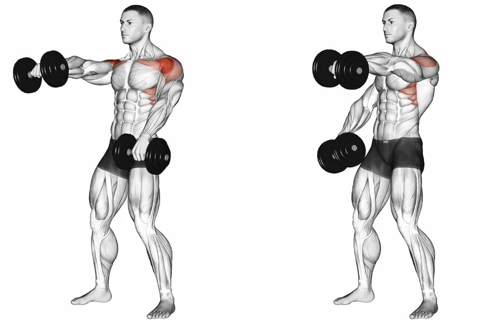 Dumbbell Front Raise