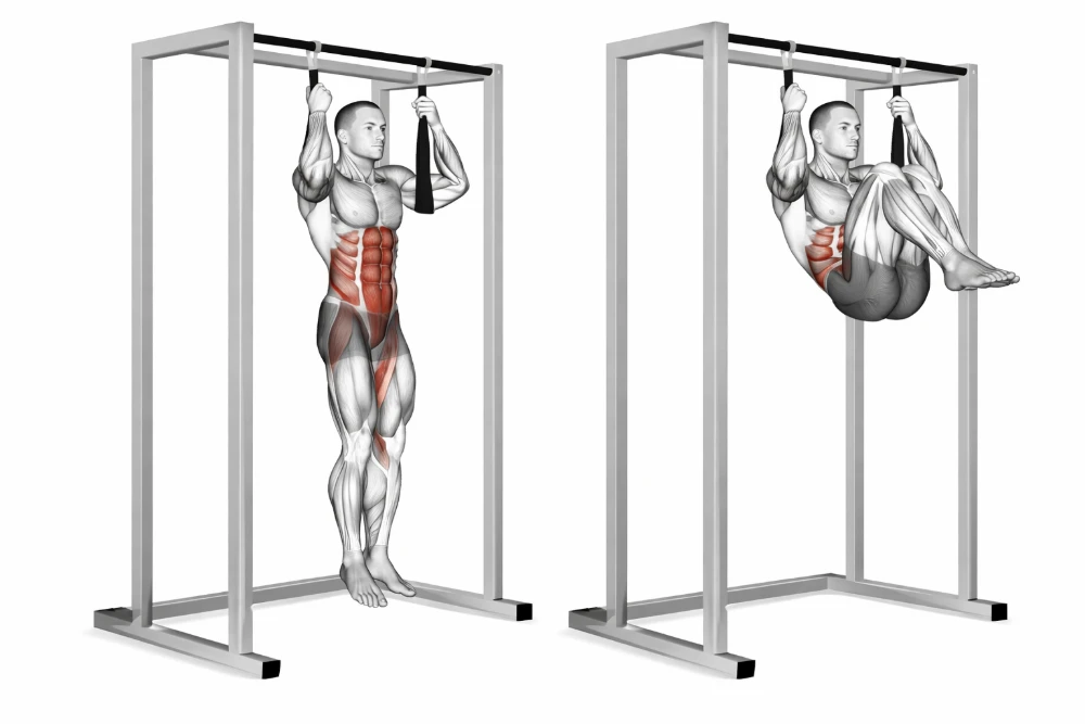 Hanging Knee Raise