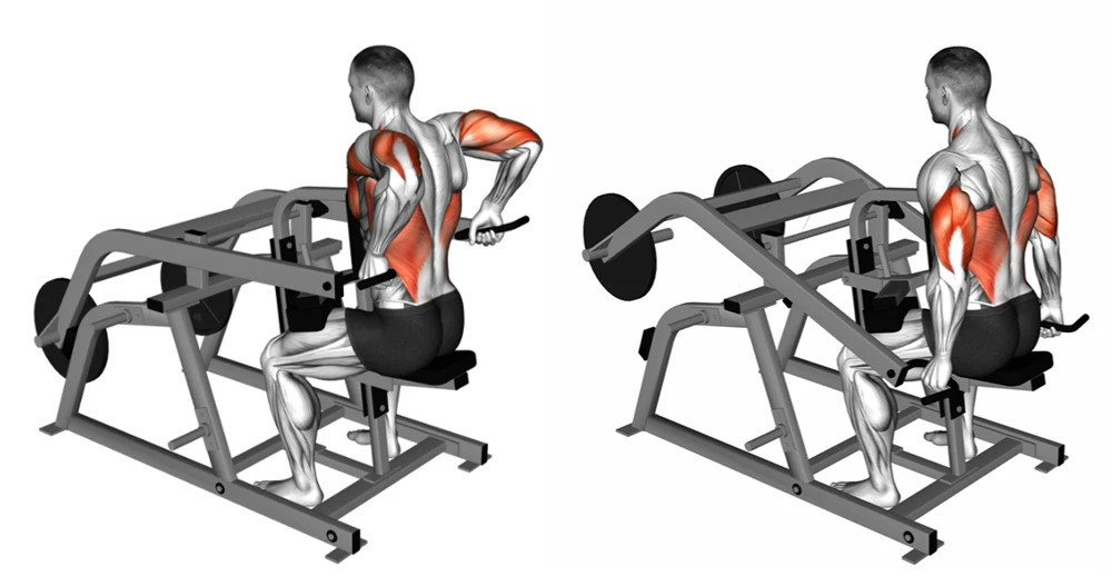 Machine Triceps Press-Down