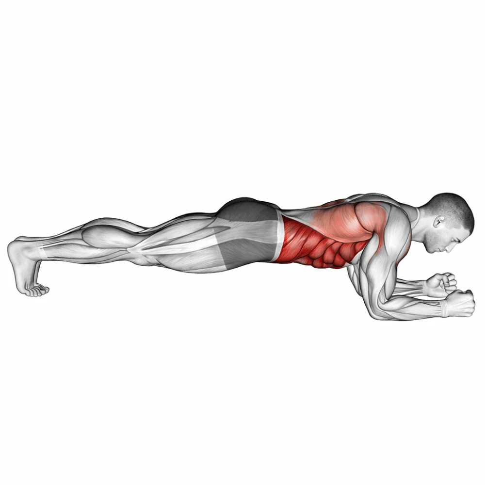 Plank