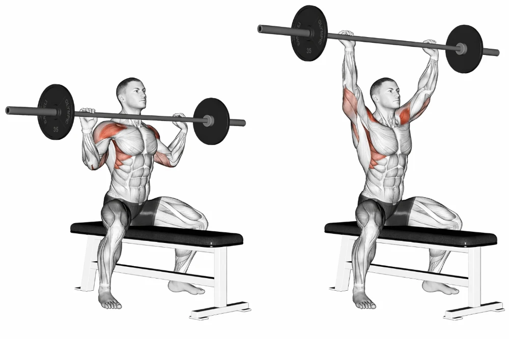 Seated Barbell Press