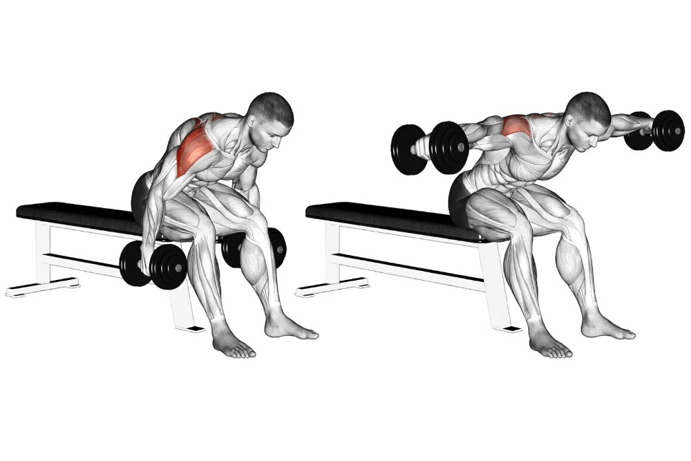 Seated rear delt fly