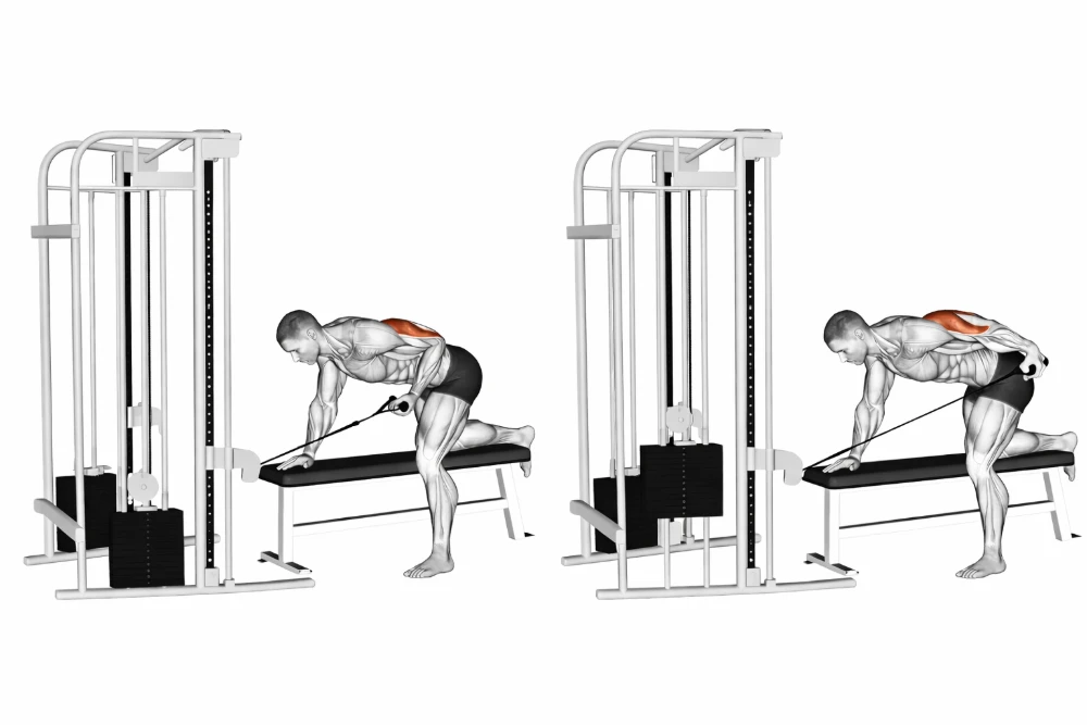 Single-Arm Cable Kick-Back