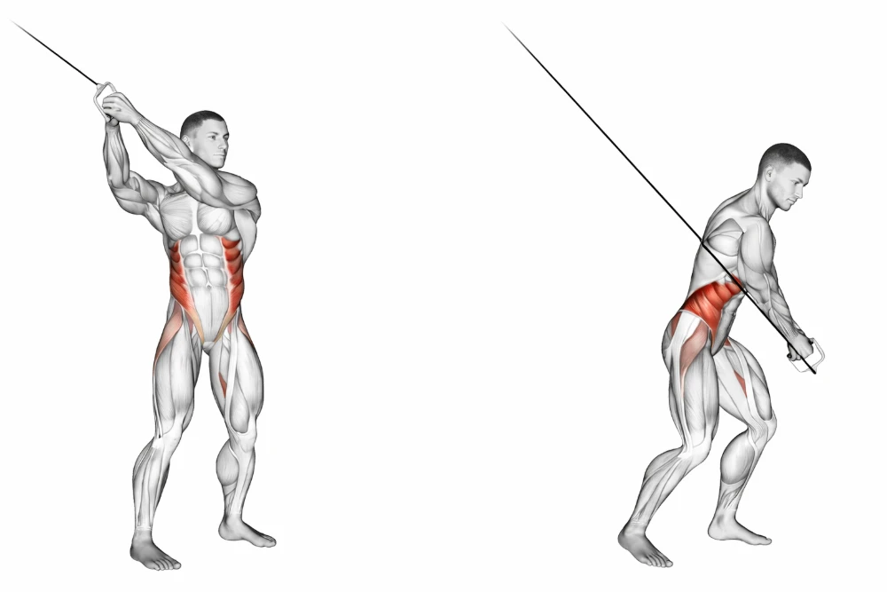 Standing Cable Hight to Low Twist