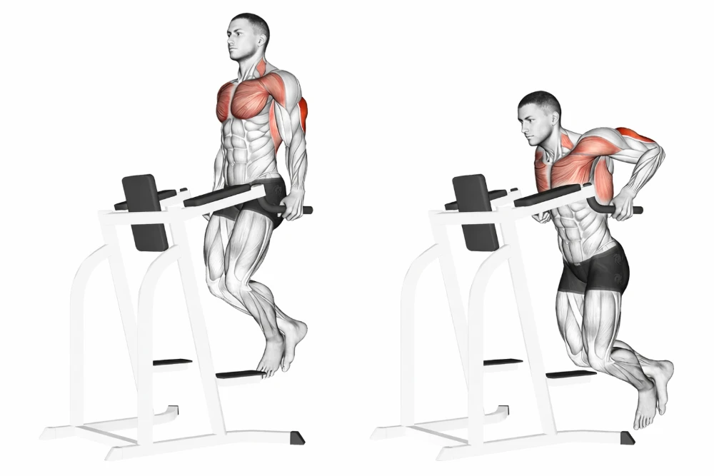 Triceps Dip