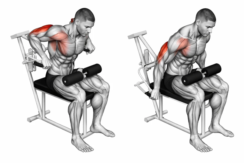 Triceps Machine Dip