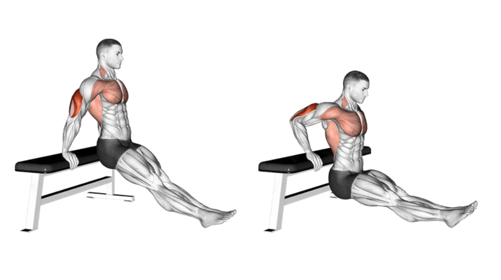 Bench Dip