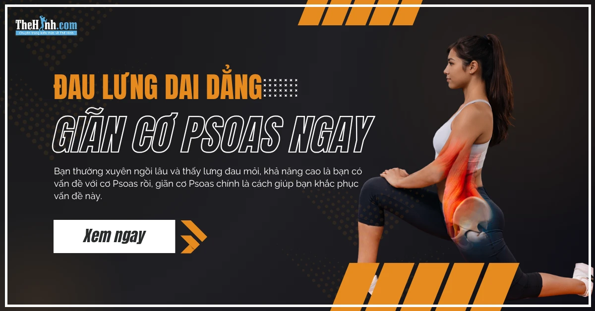 gian co Psoas - Top 17 bài tập giãn cơ Psoas và tăng sức mạnh giúp giảm đau lưng do ngồi nhiều 8 bài giãn cơ Psoas, giúp giảm đau lưng do ngồi nhiều