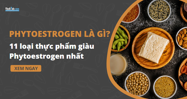 Phytoestrogen là gì? 11 loại thức ăn giàu Phytoestrogens nhất