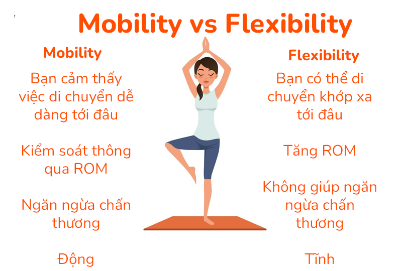 So sánh giữa Mobility,  Flexibility trong tập gym