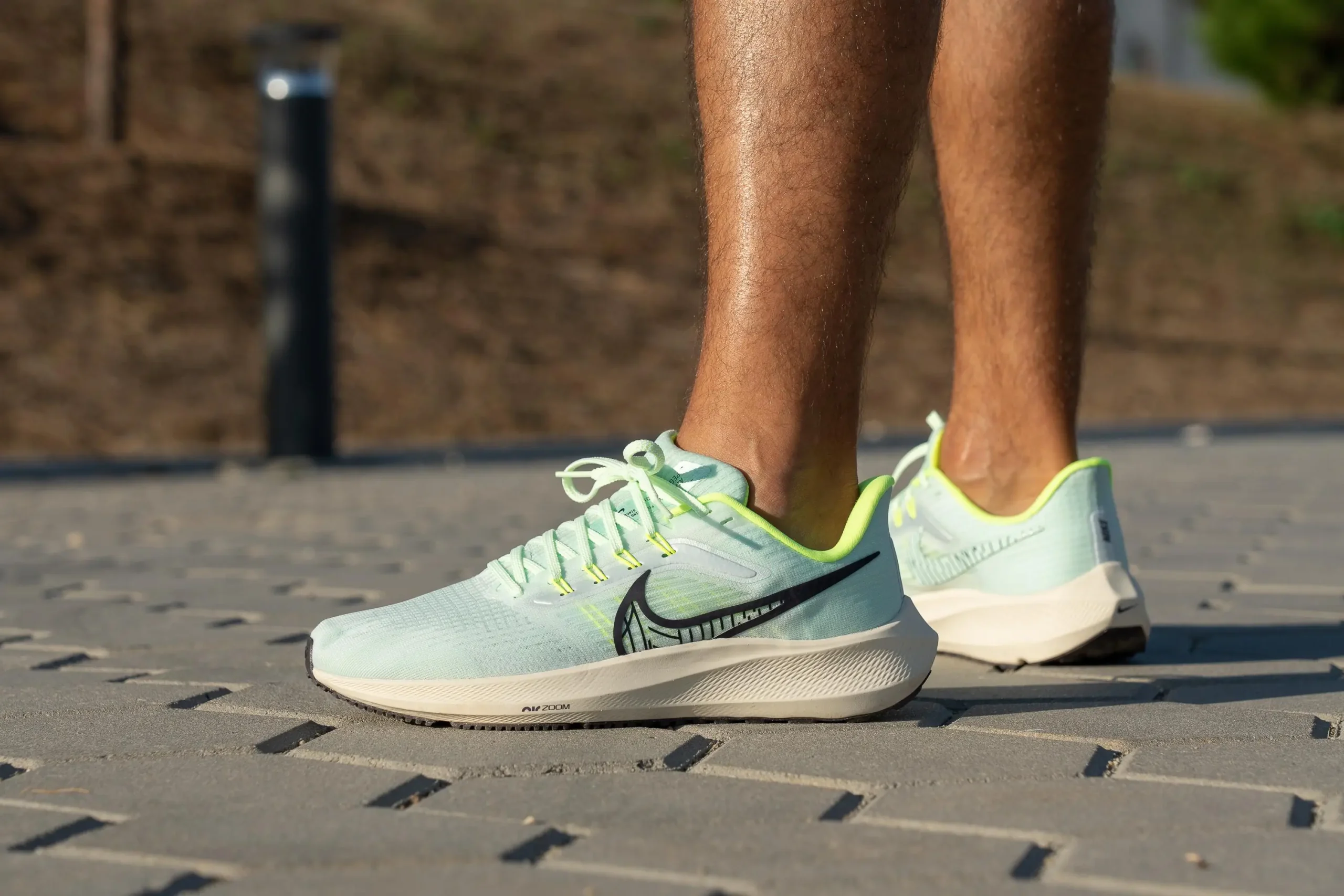 Nike Air Zoom Pegasus 39