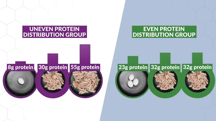 Cách bổ sung Protein để tăng cơ theo nghiên cứu mới nhất