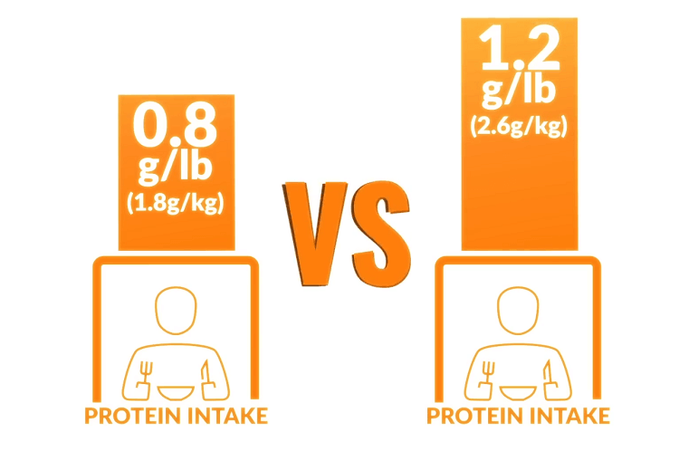 Cách bổ sung Protein để tăng cơ theo nghiên cứu mới nhất