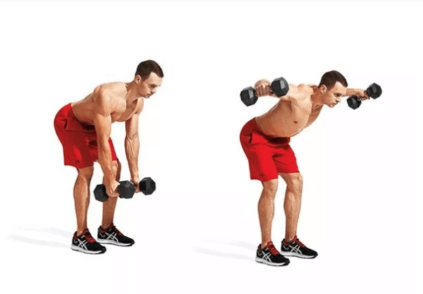 Bent-Over Dumbbell Lateral Raise