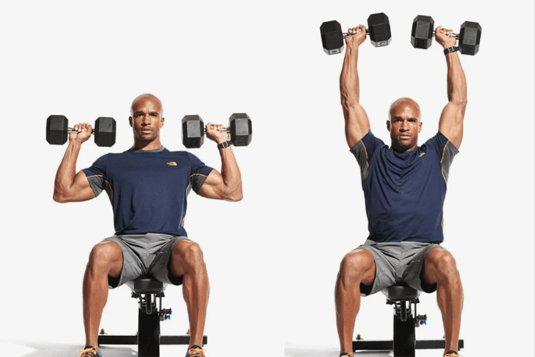 Seated Dumbbell Shoulder Press