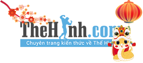 Thể Hình Channel - Hướng dẫn tập thể hình, Yoga, Triathlon