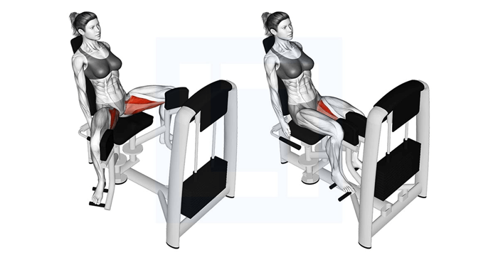 Bài tập Hip Adduction Machine (ép đùi ngoai)